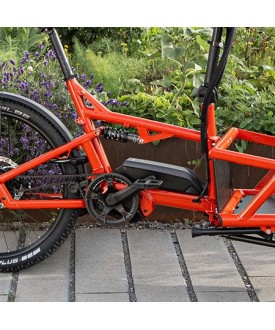 load 60 cargo bike